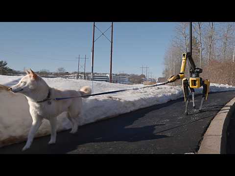 Robots can’t replace guide dogs