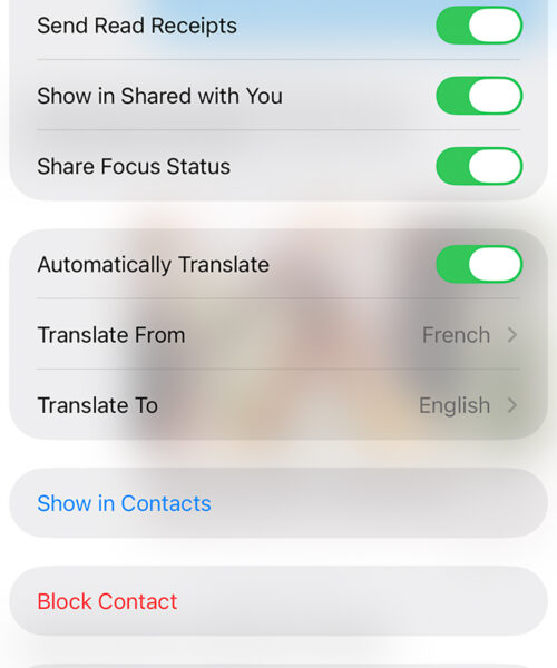 There’s a helpful translation tool hidden in your iPhone Messages