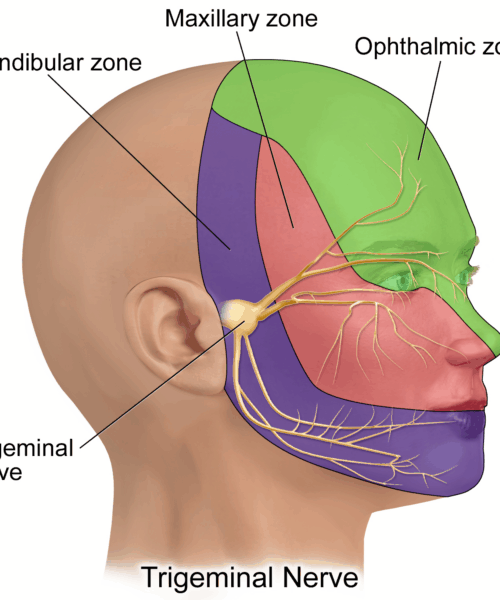 What’s a brain freeze and why do they happen?